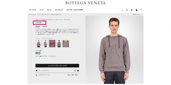 BOTTEGA VENETA フード付きセーター 国内定価