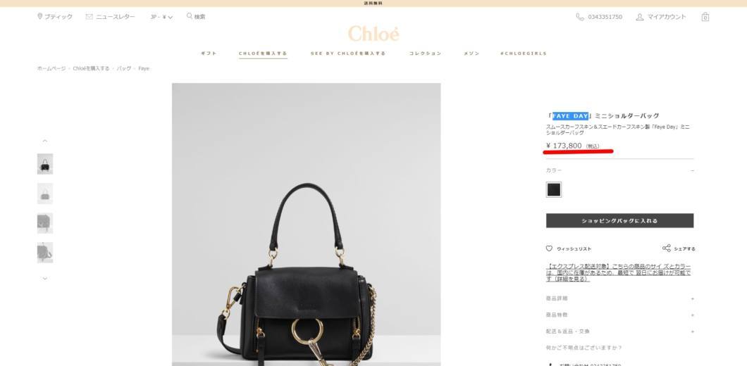 chloe スキンレザー　trousse フランス購入　お安くしました